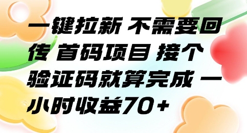 一键拉新 不需要回传 首码项目 接个验证码就算完成 一小时收益70+【揭秘】-云慧网创