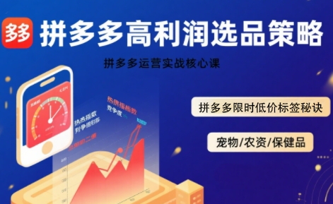 拼多多选品暴利技术实战课，拼多多高利润选品策略，拼多多限时低价标签秘诀-云慧网创