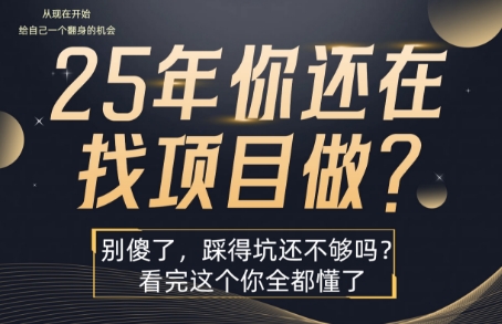 25年，你还在疯狂的找项目吗？别傻了，看完这个你都懂了【揭秘】-云慧网创
