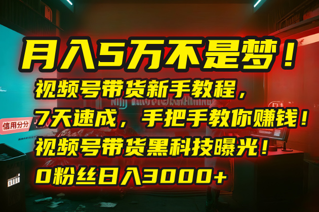 月入5万不是梦！视频号带货新手教程，7天速成，手把手教你赚钱！视频号…-云慧网创