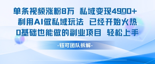 单条视频私域变现4.9k+利用AI做私域玩法 已经开始火热0基础也能做的副业项目轻松上手-云慧网创