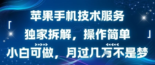 苹果手机技术服务，独家拆解，操作简单，小白可做，月过1W不是梦-云慧网创