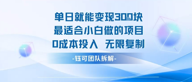 单日就能变现3张最适合小白做的项目0成本投入 无限复制-云慧网创