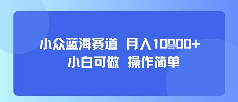 小众蓝海赛道，小白可做，操作简单，每天30分钟，月入1W+-云慧网创