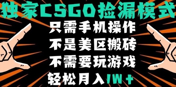 CSGO自动捡漏项目，最新独家玩法，不是美区搬砖，不需要了解和玩游戏，新手小白轻松月入1W+【揭秘】-云慧网创