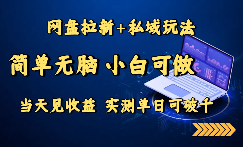 网盘拉新+私域玩法，简单无脑，小白可做，当天见收益，实测单日可破千-云慧网创