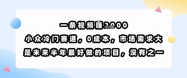 一条视频挣1k，小众冷门赛道，0成本，市场需求大，是未来半年最好做的项目，没有之一-云慧网创