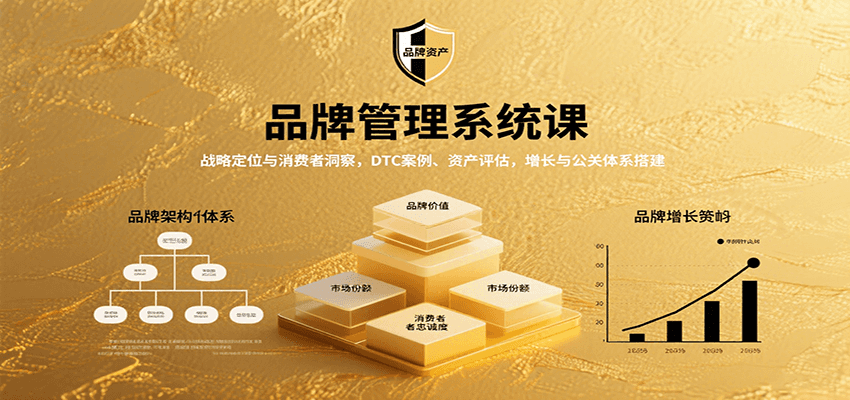 品牌管理系统课：战略定位与消费者洞察，DTC案例、资产评估，增长与公关体系搭建-云慧网创