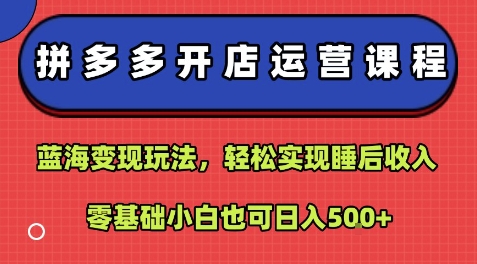 拼多多开店运营课程：蓝海变现玩法，轻松实现睡后收入，零基础小白也可日入5张-云慧网创