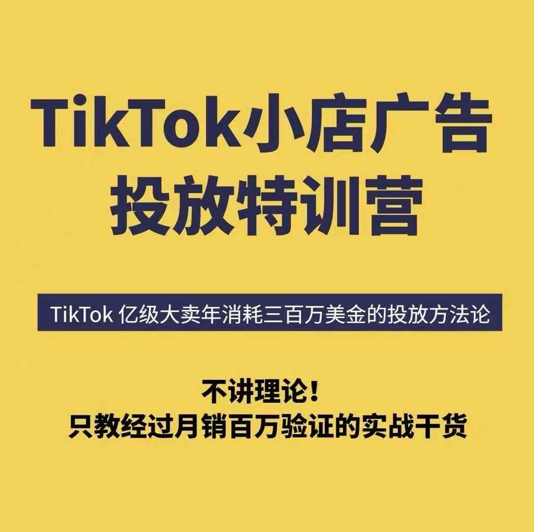 TikTok小店广告投放特训营，6天破局计划专治各种“投不动”，教你经过月销百万验证的实战干货-云慧网创