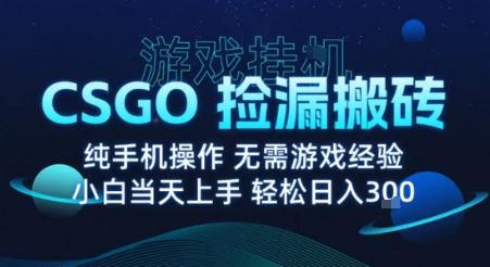 8月最新游戏搬砖，CSGO纯挂G，不需要玩游戏，实现真挂G，月入1W+【揭秘】-云慧网创