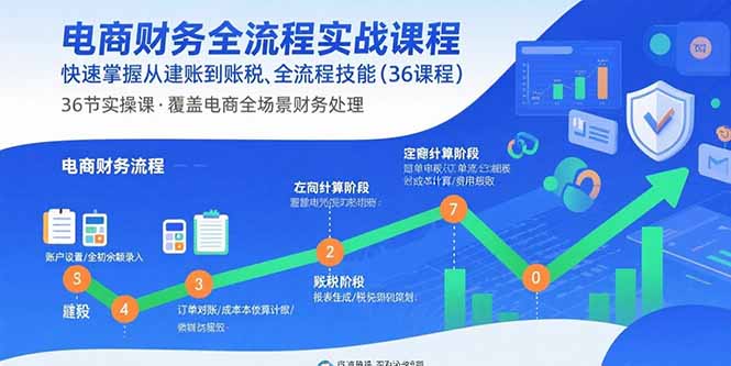电商财务全流程实战课程：快速掌握从建账到报税的全流程技能(36节课-云慧网创