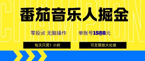 番茄音乐人掘金，单账号最高可撸1k+，可无限矩阵去做，零投入-云慧网创