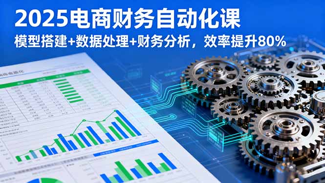 2025电商财务自动化课，模型搭建+数据处理+财务分析，效率提升80%-云慧网创