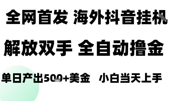 海外抖音无人直播，单日产出1.5k+，长期稳定，新手可玩，无脑操作【揭秘】-云慧网创