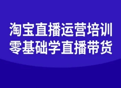 淘宝直播运营培训-零基础学会直播卖货-云慧网创