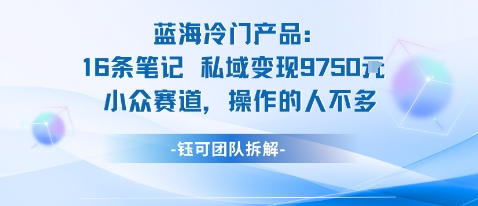 蓝海项目：16条笔记私域变现9750米小众赛道操作的人不多-云慧网创