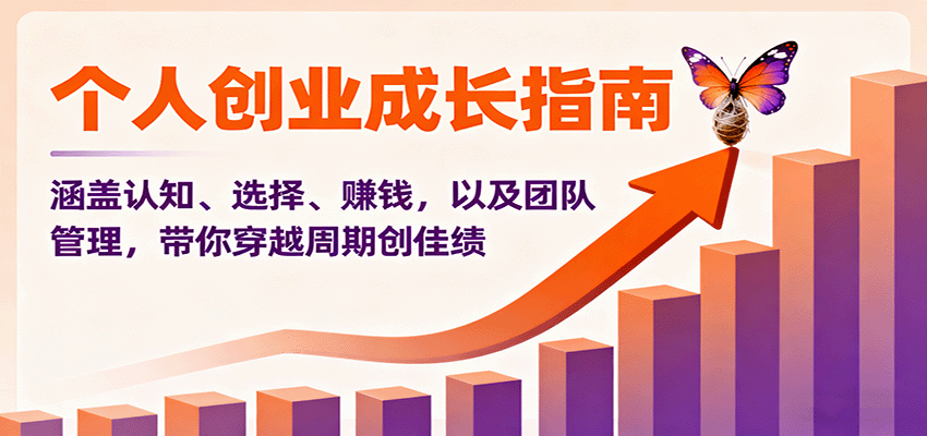 个人创业成长指南：涵盖认知、选择、赚钱，以及团队管理，带你穿越周期创佳绩-云慧网创