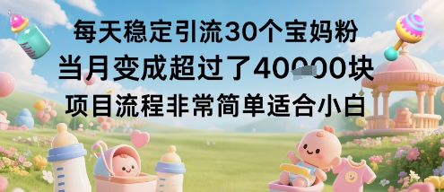 每天稳定引流30个宝妈粉当月变成超过了1W+项目流程非常简单适合小白-云慧网创