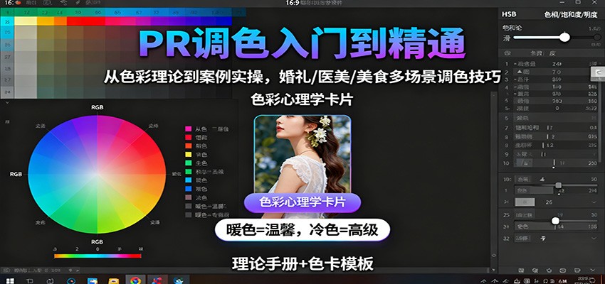 PR调色入门到精通：从色彩理论到案例实操，婚礼/医美/美食多场景调色技巧-云慧网创