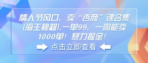 情人节风口,卖“杏商”课合集(海王秘籍-云慧网创