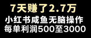最赚钱项目之一,2025爆火,逆风翻盘!-云慧网创