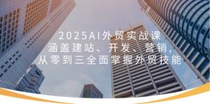 2025AI外贸实战课:涵盖建站、开发、营销, 从零到三全面掌握外贸技能-云慧网创