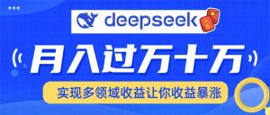用DeepSeek席卷各大平台,快速上手实现多领域,让你收入猛增-云慧网创