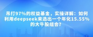 付费文章:吊打97%的权益基金,实操详解:如何利用deepseek来选出一个年化15.55%的大牛股组合?-云慧网创