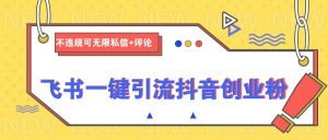 飞书一键引流抖音创业粉,不违规可 无限私信+评论-云慧网创