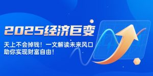 2025经济巨变,天上不会掉钱!一文解读未来风口,助你实现财富自由!-云慧网创