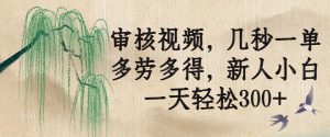 审核视频,几秒一单,多劳多得,新人小白一天轻松300+-云慧网创