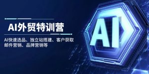 AI外贸特训营:AI快速选品、独立站搭建、客户获取、邮件营销、品牌营销等-云慧网创