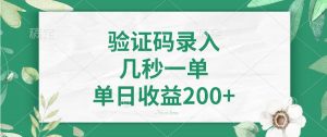 验证码录入,几秒一单,单日收益200+-云慧网创
