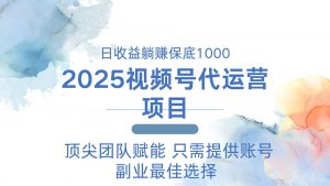 2025视频号代运营 日躺赚1000+ 只需提供账号-云慧网创
