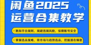 2025闲鱼电商运营全集,2025最新咸鱼玩法-云慧网创