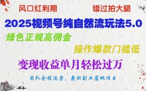 2025视频号纯自然流玩法5.0,绿色正规高佣金,操作爆款门槛低,变现收益单月轻松过万-云慧网创