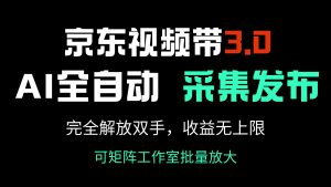 京东视频带货3.0,Ai全自动采集+自动发布,完全解放双手,收入无上限…-云慧网创