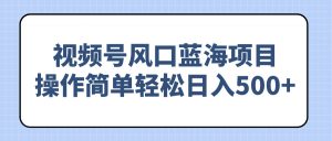 视频号风口蓝海项目,操作简单轻松日入500+-云慧网创