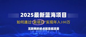2025最新蓝海项目,零门槛轻松复制,月入10万+,新手也能操作!-云慧网创