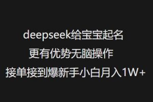 deepseek给宝宝起名更有优势无脑操作接单接到爆新手小白月入1W+-云慧网创