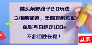 微头条野路子2.0玩法之相亲赛道,无脑搬砖复制粘贴,单账号日稳定300+…-云慧网创