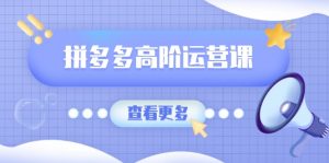 拼多多高阶运营课:极致群爆款玩法,轻付费无尽复制,打造单品爆款之路-云慧网创