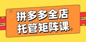 拼多多全店托管矩阵课,盈利动销玩法,高效计划设置,提升店铺效益-云慧网创
