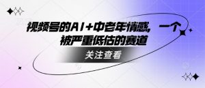 视频号的AI+中老年情感,一个被严重低估的赛道-云慧网创