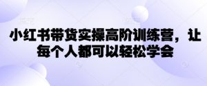 小红书带货实操高阶训练营,让每个人都可以轻松学会-云慧网创