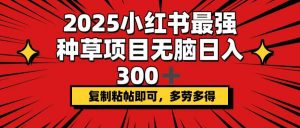 2025小红书最强种草项目,无脑日入300+,复制粘帖即可,多劳多得-云慧网创