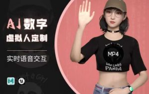 Ai数字人虚拟(智能体)实时语音交互特训营,自行定制超写实角色AI数字人交互技术-云慧网创