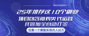 25年推荐这10个副业项目包含褂鸡类、代运营托管类、全自动打金类【揭秘】-云慧网创