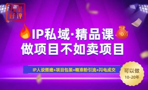 2025年“IP私域·密训精品课”,日赚3000+小白避坑年赚百万,暴力引流…-云慧网创